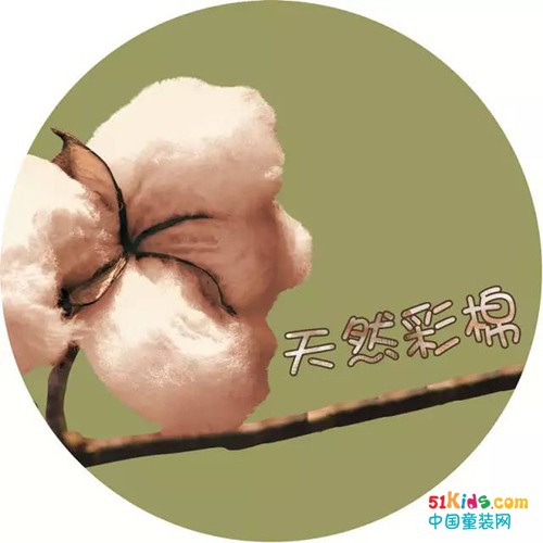 金发拉比加入中国彩棉产业联盟，亲肤baby第一层肌肤！
