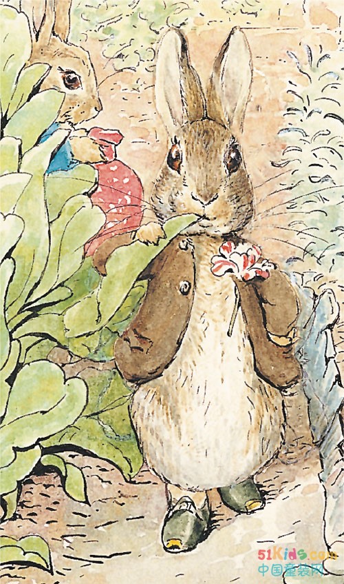 播童装 x Peter Rabbit联名系列，开启活力的童趣世界